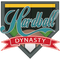 Hardball Dynasty
