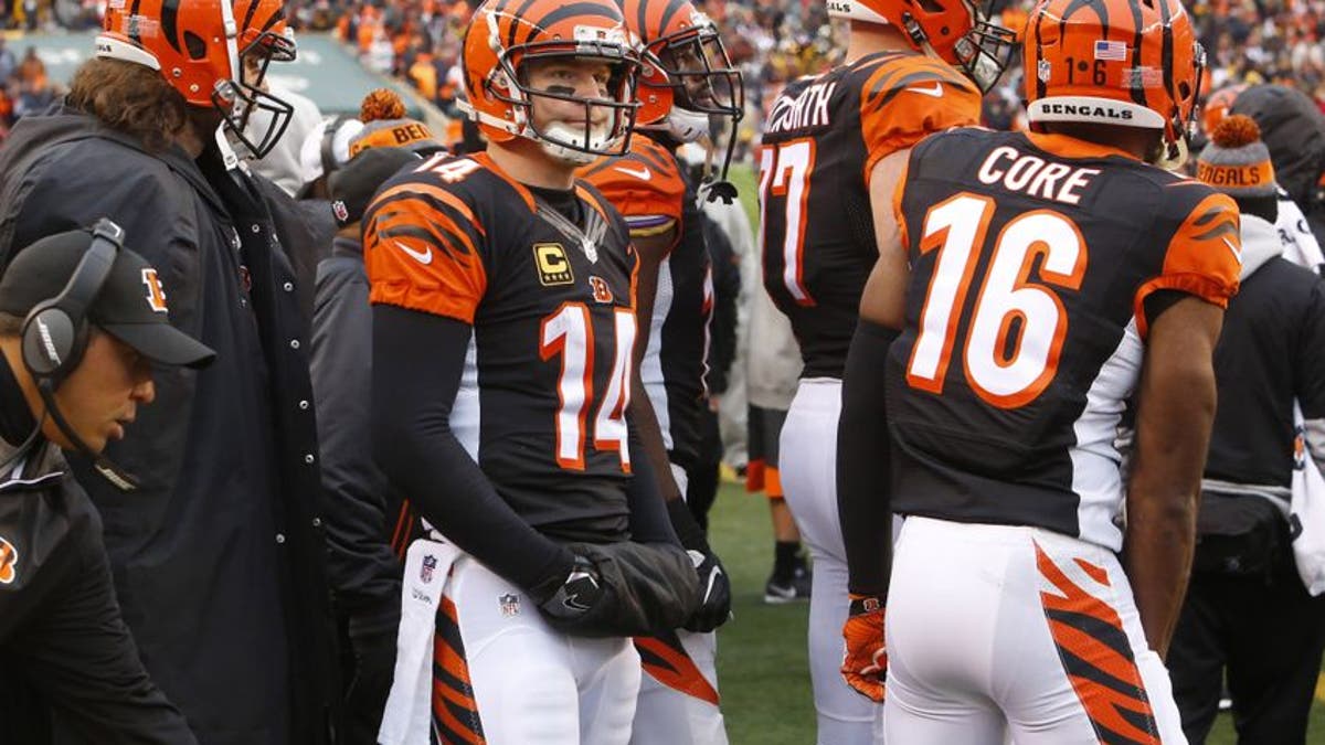 Cincinnati Bengals: When Does The Madness End? - FOXSports.com