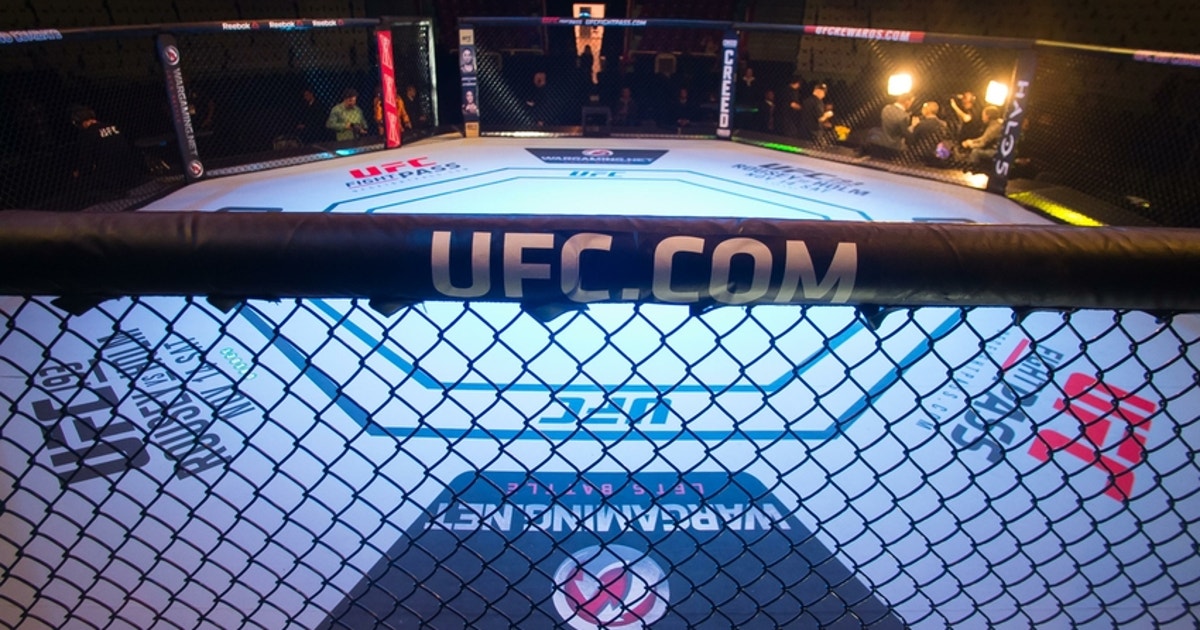 UFC Fight Night 103: Joachim Christensen knockouts Bojan Mihajlovic