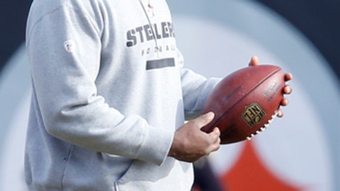 Pittsburgh Steelers assistant coach to plead guilty to disorderly conduct Pittsburgh Steelers assistant coach to plead guilty to disorderly conduct