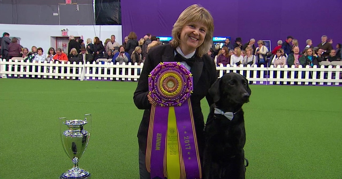 Obedience Winner | 2017 Westminster Dog Show | FOX Sports