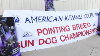 Gun Dog Trophy