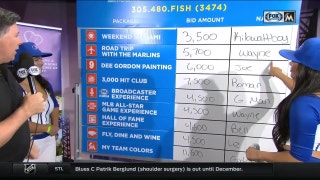 Marlins Foundation fantasy auction raises more than $145,000