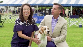Road to Westminster (RTW): Dog Show 101 Puppy Socialization
