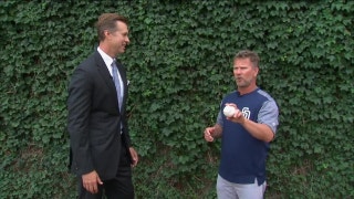 Playing the ivy wall at Wrigley Field