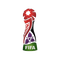  FIFA Women's World Cup