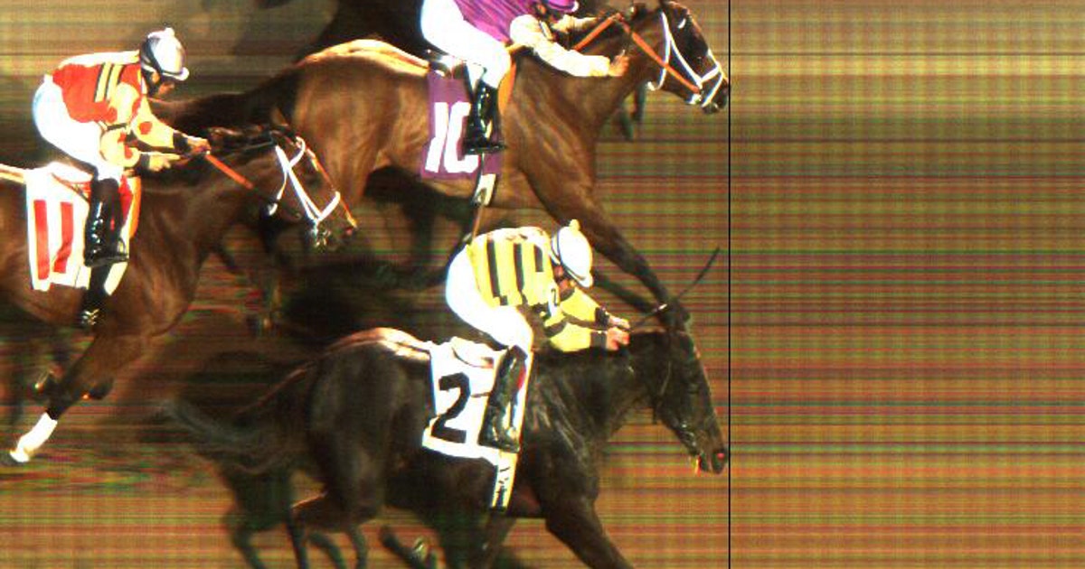 Rare triple dead heat for first place at Louisiana track FOX Sports