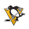 Pittsburgh Penguins