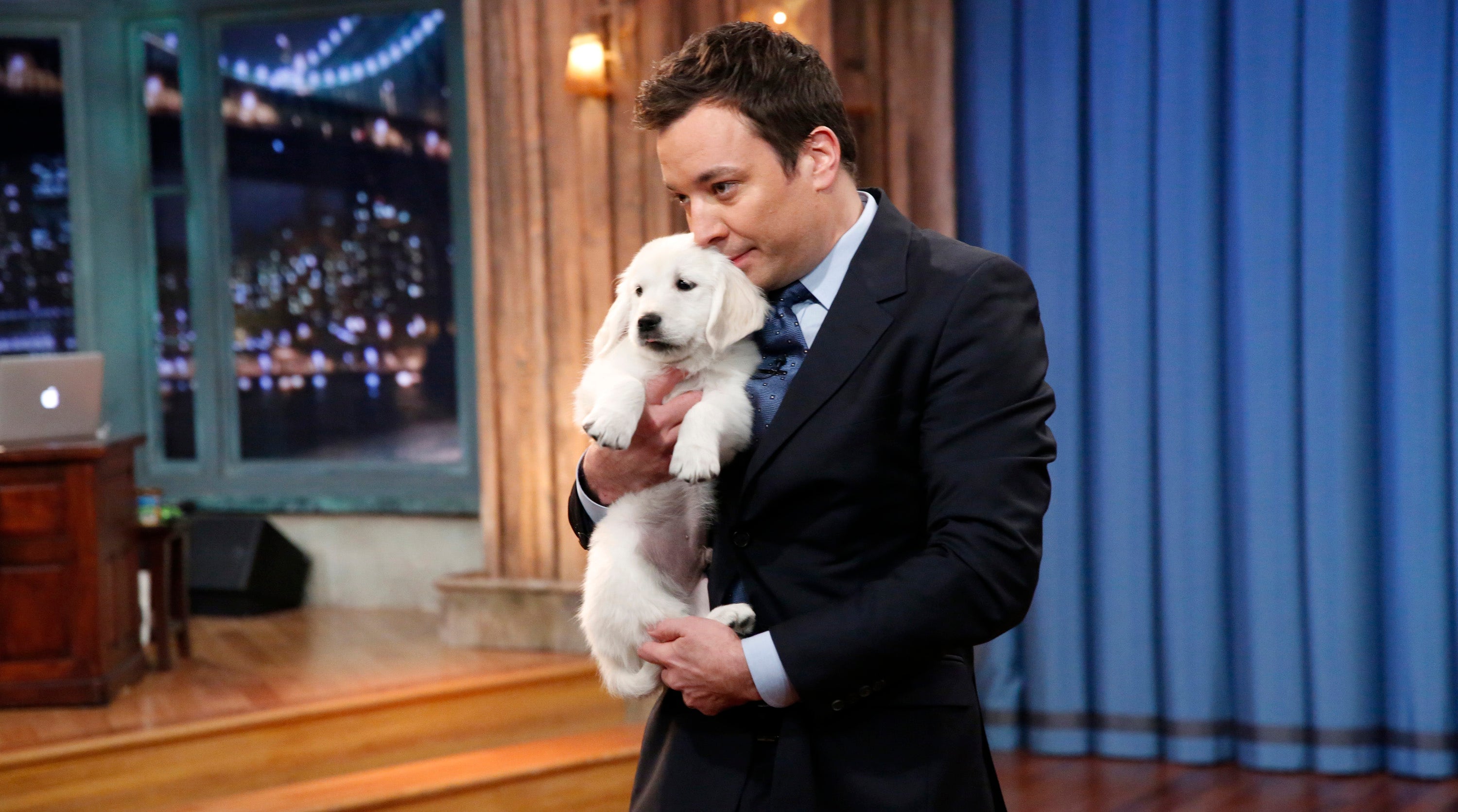 jimmy fallon puppy bowl
