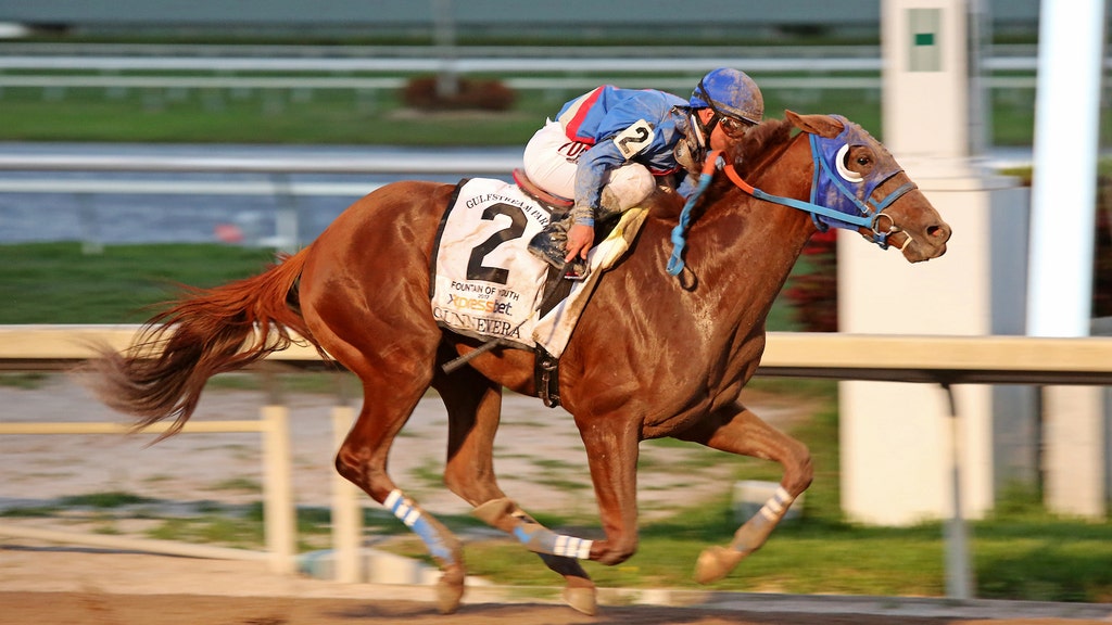 2017 preakness horses