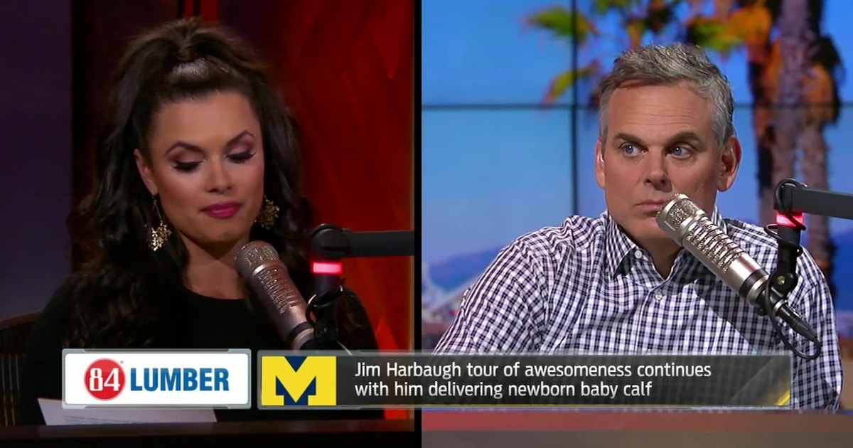 Jim Harbaugh delivered a calf - Joy and Colin react | THE