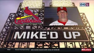 Matheny says young call-ups are 'not fazed'