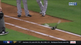 Pigeon requires help off field | Rangers Live