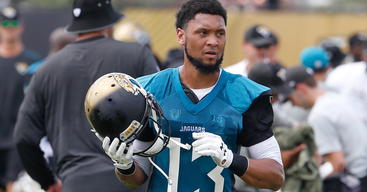 Jaguars place WR Rashad Greene on IR, cut 20 to get down to roster ...