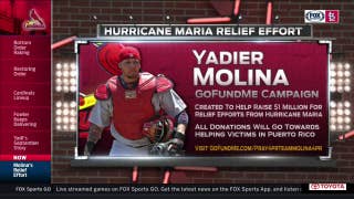Yadier and Wanda Molina start GoFundMe for hurricane relief
