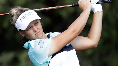 Mozo mincing strong New Zealand Open field Mozo mincing strong New Zealand Open field