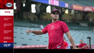 Ducks Night at Angel Stadium