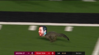Foxy Grubes on the field! | The Dose