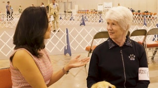 Road to Westminster (RTW): Obedience Peggy McConnell