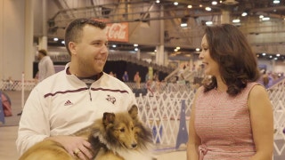 Road to Westminster (RTW): Agility Aaron Williams