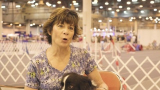 Road to Westminster (RTW): Agility Mary Moore