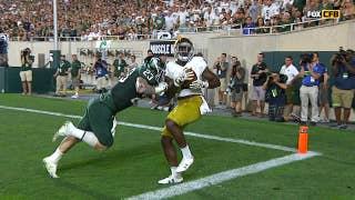 Notre Dame's Dexter Williams pulls down amazing touchdown catch
