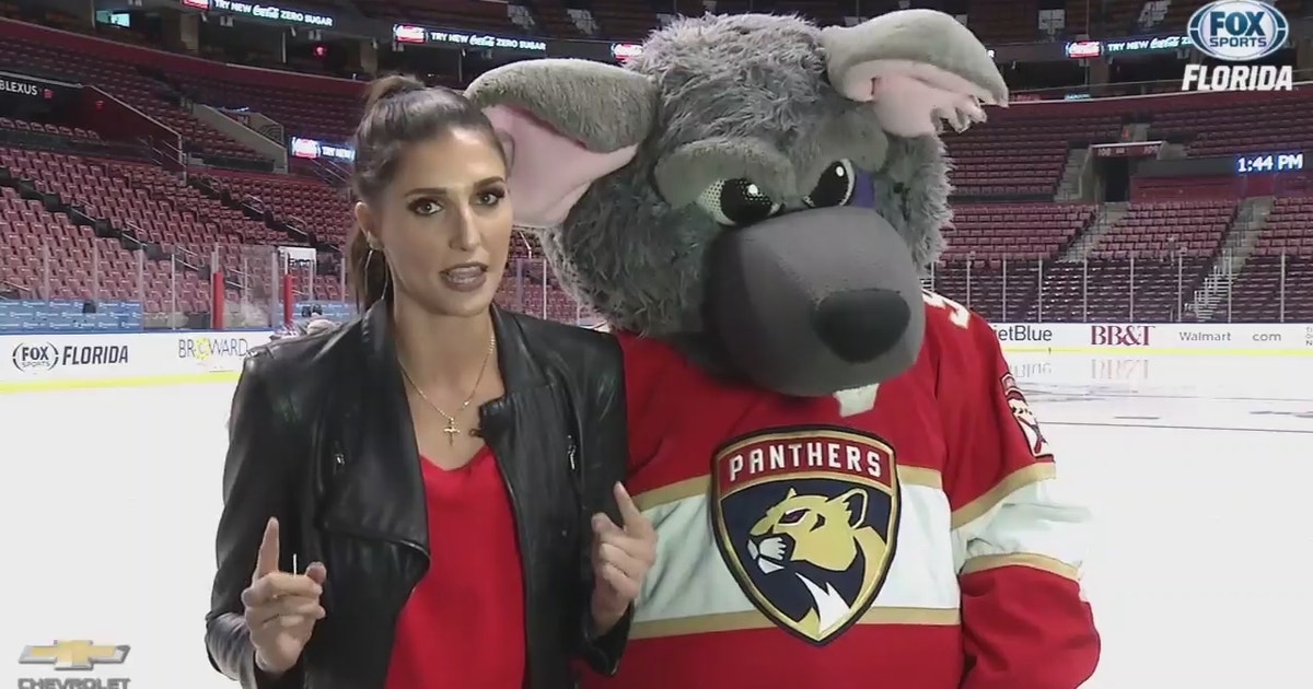 florida panthers rat