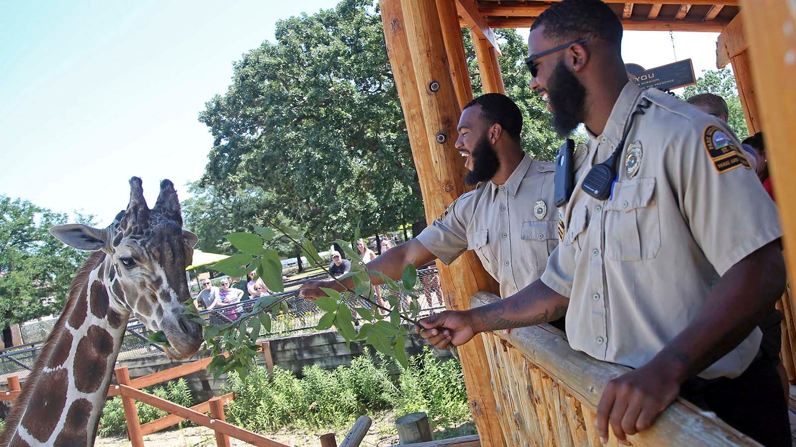 Zoo Security Stainless Steel 304 Zoo Security Wire Rope Mesh China