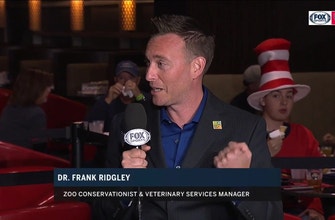 Dr. Frank Ridgley of Zoo Miami joins Inside the Panthers LIVE on Panther Conservation Night