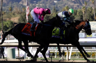 
					Storm the Court scores 45-1 upset in Breeders' Cup Juvenile
				