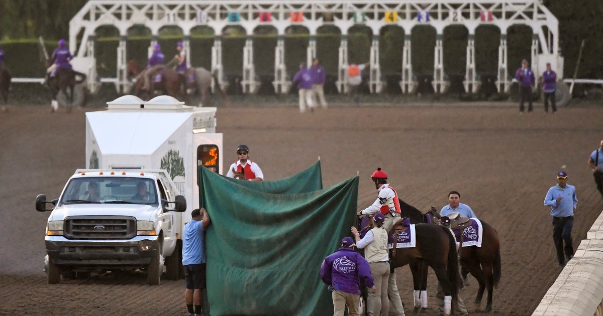 Tragedy strikes Breeders' Cup at Santa Anita despite reform