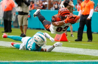 
					NFL ICYMI: Bengals take care of business, clinch top pick
				