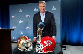 
					Goodell: Diversity in coach/executive hirings must improve
				