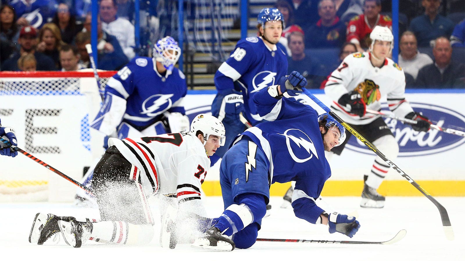 tampa bay lightning dog jersey