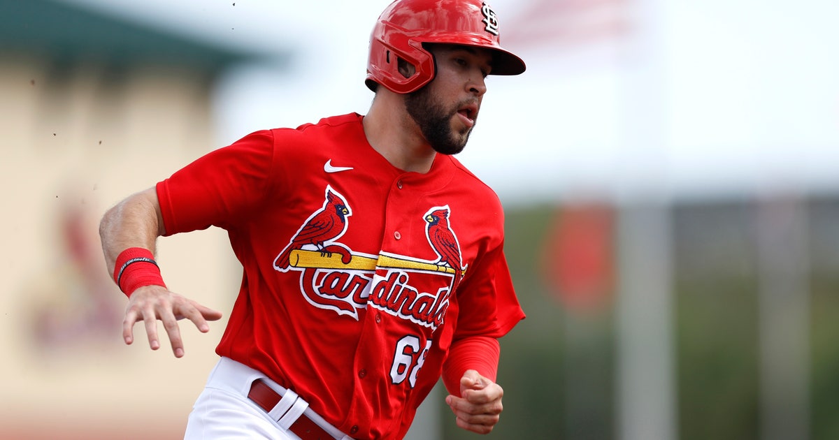 Carlson, Herrera and other top prospects make the cut for Cardinals&#39; 60-man roster | FOX Sports