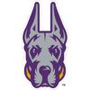 Albany Great Danes