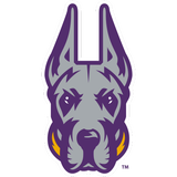 Albany Great Danes