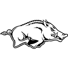 Arkansas Razorbacks