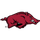Arkansas Razorbacks