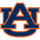 Auburn tiger