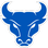 BUFFALO BULLS