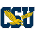 Coppin State Eagles