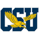 COPPIN STATE EAGLES