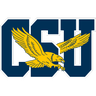 COPPIN STATE EAGLES