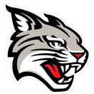 Davidson Wildcats