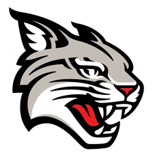 Davidson Wildcats