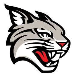 Davidson Wildcats