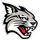 Davidson Wildcats