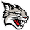 DAVIDSON WILDCATS