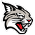 Davidson Wildcats